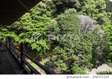 岐阜縣關市日龍布寺（高澤觀音） 108371105