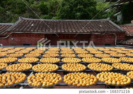 Persimmons being dried at a Taiwanese persimmon farm Persimmons being dried at a Taiwanese persimmon farm 108371216