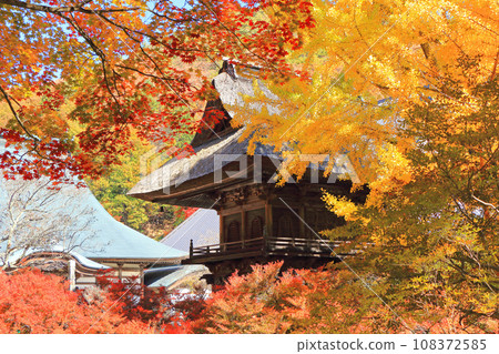 Rei Matsudera的信濃大町秋天的古墓 Rei Matsudera的信濃大町秋天的古墓 108372585