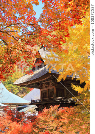 The ancient tomb of Shinano Omachi autumn of Rei Matsudera 108372587