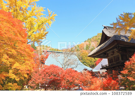 The ancient tomb of Shinano Omachi autumn of Rei Matsudera 108372589