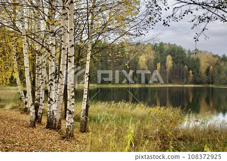 Lake Svetloyar where the city of Kitezh sank, Nizhny Novgorod region Lake Svetloyar where the city of Kitezh sank, Nizhny Novgorod region 108372925