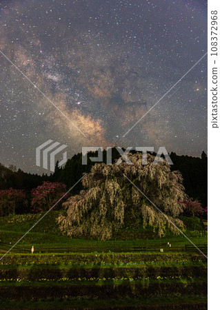 Uda City, Nara Prefecture, Starry Sky and Matabei Cherry Blossoms Uda City, Nara Prefecture, Starry Sky and Matabei Cherry Blossoms 108372968