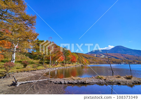 秋天從長野縣蓼科町女神湖眺望蓼科山 秋天從長野縣蓼科町女神湖眺望蓼科山 108373349