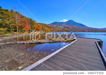 秋天從長野縣蓼科町女神湖眺望蓼科山 108373350