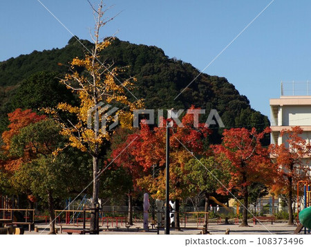 Colored trees and playground equipment (Kanda Park '23 in autumn) 108373496