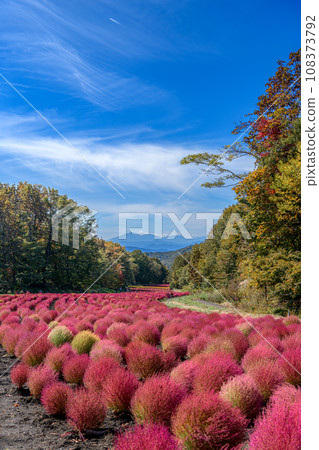 View of Tambara Kochia Garden 108373792