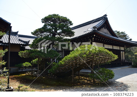 日本春天的京都、世界遺產金閣寺、六州之松和歷史建築 日本春天的京都、世界遺產金閣寺、六州之松和歷史建築 108374223