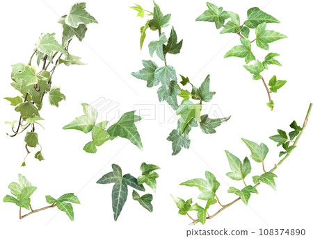 Cutout material set - decoration plants 9 (ivy 1) 108374890