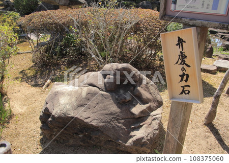 四國第三聖地「金泉寺」辨慶能量石 108375060