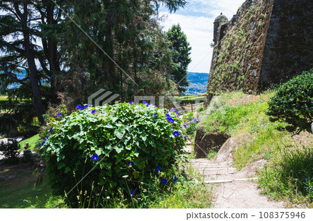 Park Monte del Castro, park located on a hill in Vigo, the biggest city in Galicia Region, in the North of Spain. Trees, paths, selective focus 108375946