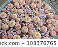 Gyoda Hanatemizu 108376765