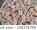 Gyoda Hanatemizu 108376769
