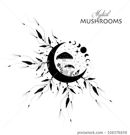 Shamanic magic mushrooms, Mystical Amanita Muscaria with moon phases and stars. Witchcraft  Dreamcatcher symbol, witchy esoteric fungus logo tattoo. Celestial wiccan clipart isolated, white background 108376839