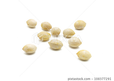 Ginkgo nuts with a white background 108377291