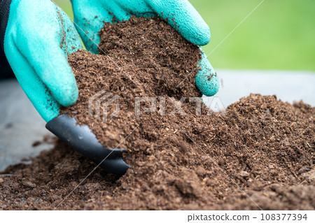 Hand holding peat moss organic matter improve soil for agriculture organic plant growing, ecology concept. 108377394