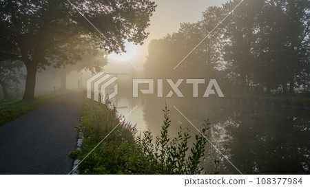 Sunrise Serenade: Mystique of Fog, Reflections and Tree Silhouettes Sunrise Serenade: Mystique of Fog, Reflections and Tree Silhouettes 108377984