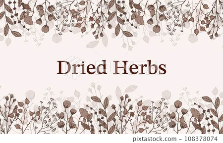 Border Dry Herbs, Dried Flowers. Natural medicine. Vector banner with branches twigs cotton flowers. 108378074