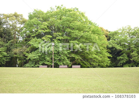 Prairie of the park Prairie of the park 108378103