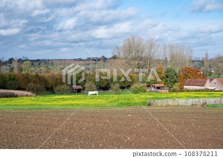 Brown soil and buttercup fields with farms in the background at the Flemish countryside around Gooik, Brabant, Belgium Brown soil and buttercup fields with farms in the background at the Flemish countryside around Gooik, Brabant, Belgium 108378211