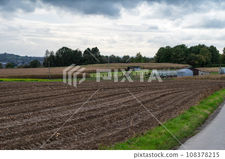 Landscape view over harvested agriculture fields of corn at the Flemish countryside around Roosdaal, Belgium Landscape view over harvested agriculture fields of corn at the Flemish countryside around Roosdaal, Belgium 108378215