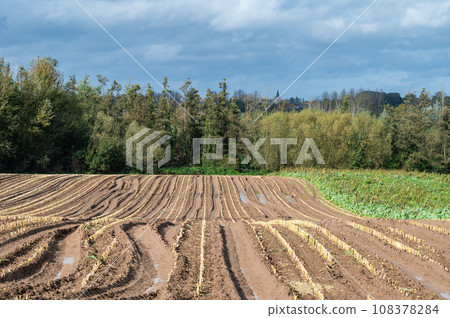 Harvested farmland and soil of cornfields around Lennik, Brabant, Belgium 108378284