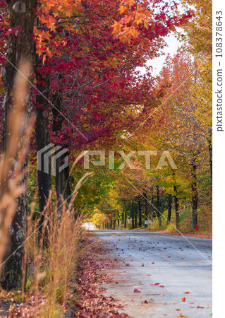 Aichi Prefectural Agricultural Experiment Station, Autumn leaves maple syrup (Nagakute City, Aichi Prefecture) Aichi Prefectural Agricultural Experiment Station, Autumn leaves maple syrup (Nagakute City, Aichi Prefecture) 108378643