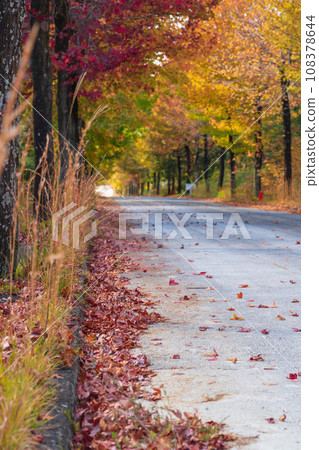 Aichi Prefectural Agricultural Experiment Station, Autumn leaves maple syrup (Nagakute City, Aichi Prefecture) 108378644