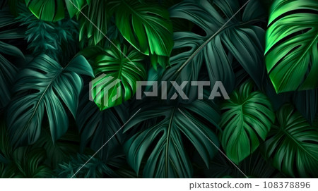 Wallpaper of palm leaves and monstera in the jungle, idea for interior, top view. 108378896