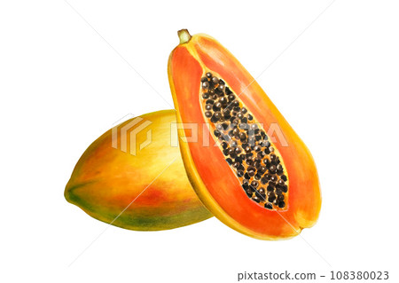 Watercolor sweet ripe composition of papaya. Hand drawn realistic tasty organic illustration of exotic tropical fruit isolated on background. For designers, wedding, decoration, postcards, wrapping 108380023