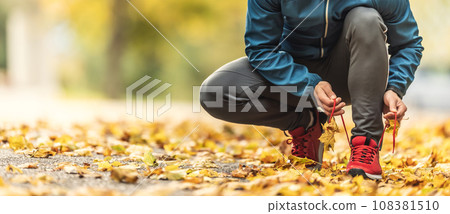 A close-up view of the hands of an athlete tying his shoelaces before running in an autumn park 108381510