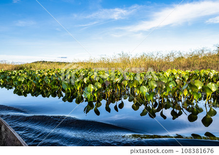 Canoe tour on the Pantanal Marimbus in Andarai, Bahia, Brazil, Chapada Diamantina Canoe tour on the Pantanal Marimbus in Andarai, Bahia, Brazil, Chapada Diamantina 108381676