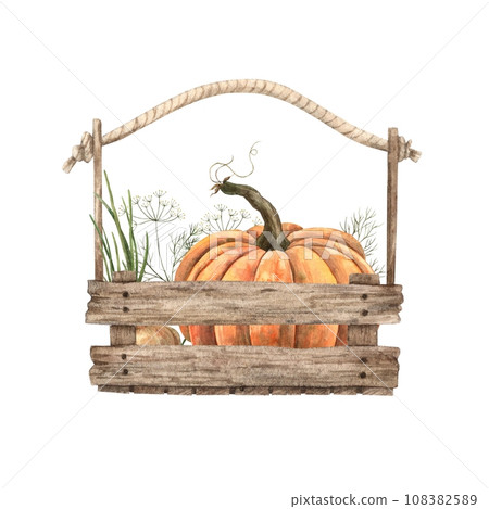 Watercolor orange pumpkin in a wooden box with vegetables, composition. Hand-drawn botanical illustrations on an isolated background, It can be used in printing design, for postcards, wallpaper Watercolor orange pumpkin in a wooden box with vegetables, composition. Hand-drawn botanical illustrations on an isolated background, It can be used in printing design, for postcards, wallpaper 108382589