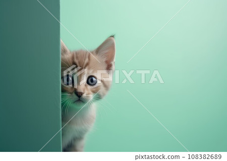 Adorable cute kitten. Relax face hair. Generate Ai Adorable cute kitten. Relax face hair. Generate Ai 108382689