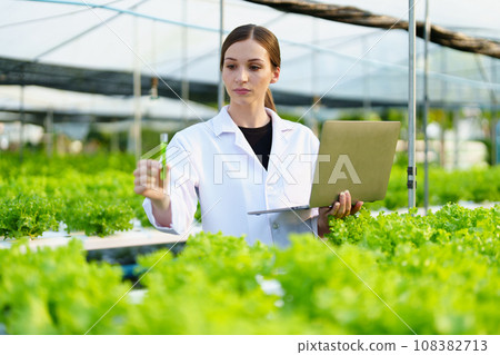 Woman Farmer harvesting vegetable and audit quality from hydroponics farm. Organic fresh vegetable, Farmer working with hydroponic vegetables garden harvesting, small business concepts 108382713