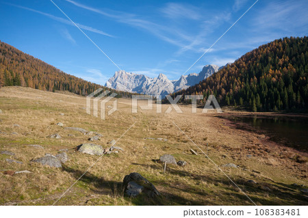 Alpine meadow with dolomites in background, Calaita  lake area 108383481
