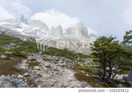 French Valley landscape, Torres del Paine, Chile 108383612