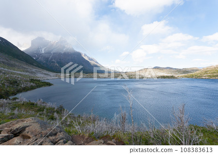 Lake Pehoe view, Torres del Paine, Chile 108383613