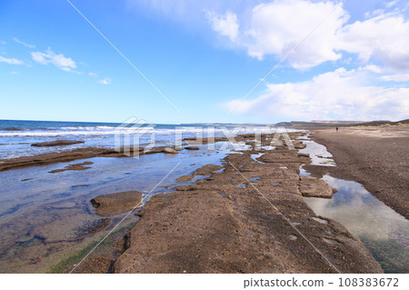 Isla Escondida beach landscape, Patagonia, Argentina 108383672