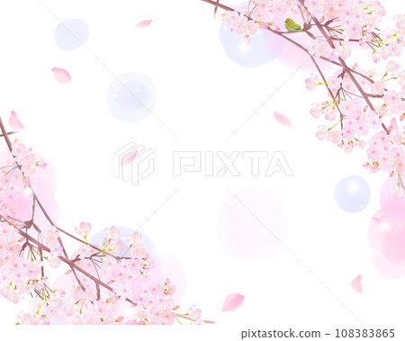 Japanese dace cute light pink cherry blossom flowers and petals spring watercolor white back frame background material illustration Japanese dace cute light pink cherry blossom flowers and petals spring watercolor white back frame background material illustration 108383865