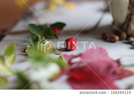 Still life with flowers, leaves and berries on a white background. 108384119