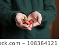 Acorns and hawthorn berries in the hands of a boy in a green sweater. 108384121