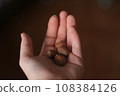 Hazelnuts in the palm of your hand. Selective focus. 108384126