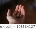 Hazelnuts in the palm of the hand on a dark background 108384127