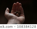 Hazelnuts in hand on a dark background. Selective focus. 108384128