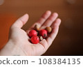 Handful of red rose hips and hazelnuts on a wooden background, close up 108384135