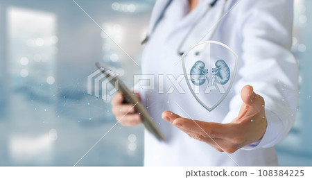 Concept of protecting kidney health. 108384225