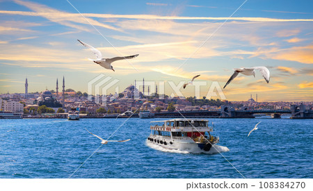 Seagulls and boats in front of the Istanbul sights on Bosphorus, Turkey Seagulls and boats in front of the Istanbul sights on Bosphorus, Turkey 108384270