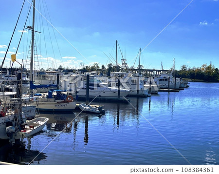 boats in a marina boats in a marina 108384361
