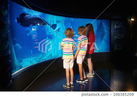 Family in aquarium. Kids watch fish, marine life 108385209